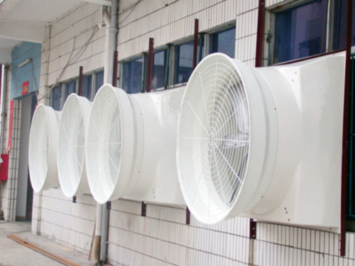 ����������L(f��ng)�C