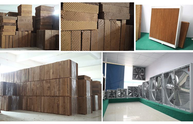 ��̩ˮ���L(f��ng)�C(j��)��܇(ch��)�g���ز߄����b